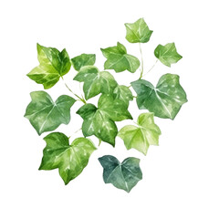 Plant Clipart Vector Illustration