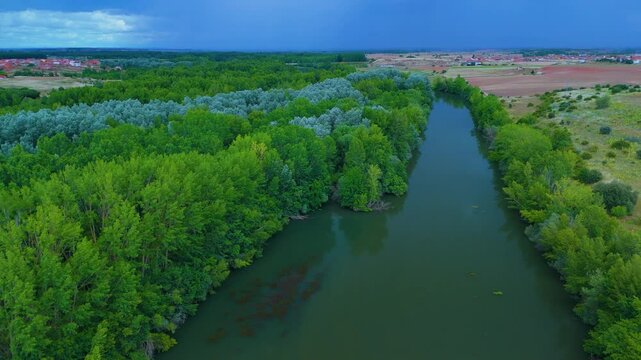 Spring landscape of the riverside forest on the Esla River. Aerial view from a drone in the village of Bret&oacute;. Province of Zamora. Castile and Leon. Spain. Europe