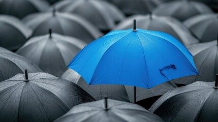 Single blue umbrella among numerous gray ones, representing innovation, safety, and leadership in business.