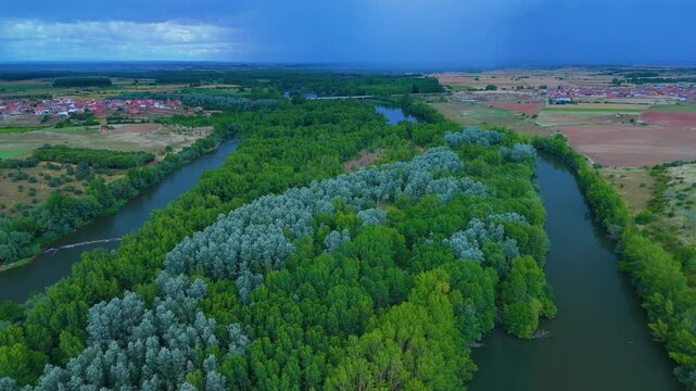 Spring landscape of the riverside forest on the Esla River. Aerial view from a drone in the village of Bret&oacute;. Province of Zamora. Castile and Leon. Spain. Europe