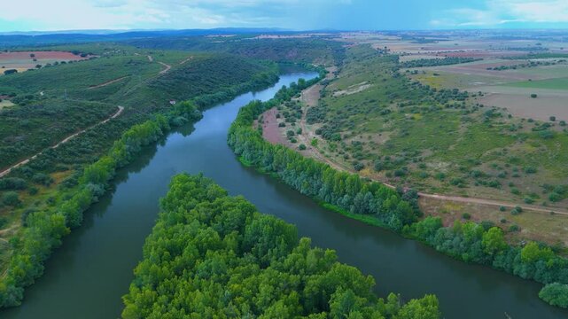 Spring landscape of the riverside forest on the Esla River. Aerial view from a drone in the village of Bret&oacute;. Province of Zamora. Castile and Leon. Spain. Europe
