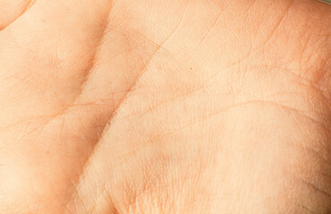 Close-up of a human palm with detailed creases and lines