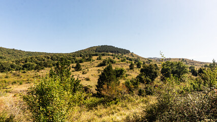 Beautiful forest in the north of Spain