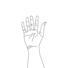 Obraz premium Human palm icon design, hand vector with different hand lines, palm vector