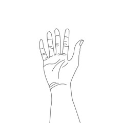 Human palm icon design, hand vector with different hand lines, palm vector