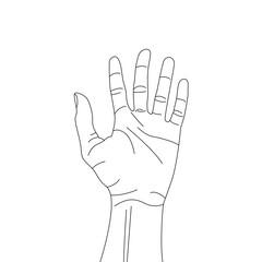 Human palm icon design, hand vector with different hand lines, palm vector