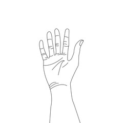 Human palm icon design, hand vector with different hand lines, palm vector