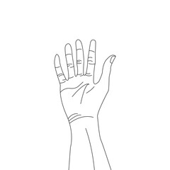 Human palm icon design, hand vector with different hand lines, palm vector