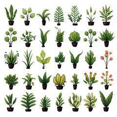 Plant Clipart Vector Illustration