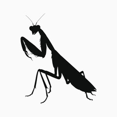 Mantis silhoutte vector white backgound 