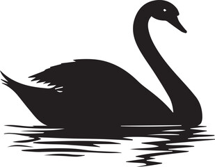 black swan on the lake