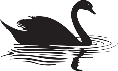 black and white swan