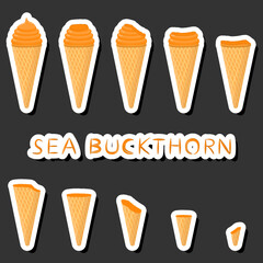 Big colorful set different forms natural dessert ice cream of consisting various ingredients