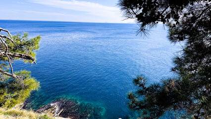 Obraz premium A scenic view of the blue sea from a cliff, framed by pine tree branches with clear skies above.
