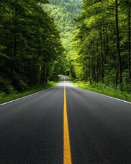 Fototapeta premium A serene view of a long, empty road stretching through lush greenery, inviting exploration and adventure in nature.