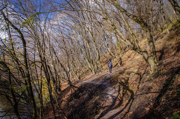Late autumn in an old park on a mountain.