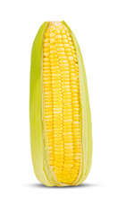 Fresh sweet corn isolated on transparent png