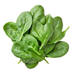 Fototapeta premium Spinach on a white background