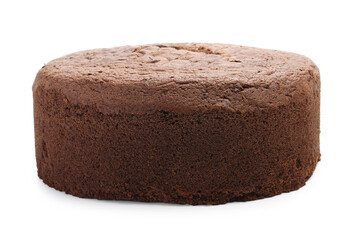Tasty chocolate sponge cake isolated on white