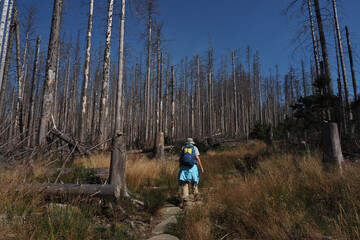 Wandern im Nationalpark Harz