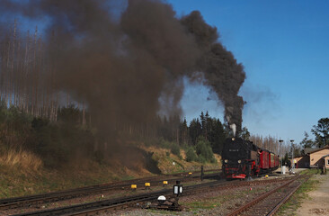 Dampfzug bei Schierke, Harz