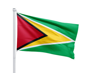Guyana national flag on white background.