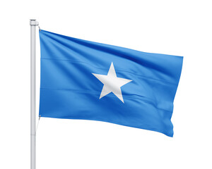 Somalia national flag on white background.