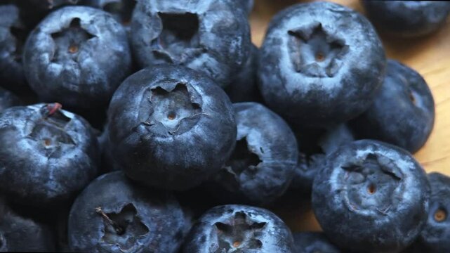 fresh black blueberry