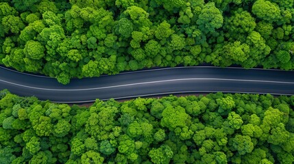 Winding Asphalt Road Through Lush Green Woods, Aerial perspective showcasing a serene nature expedition along a scenic route surrounded by vibrant foliage