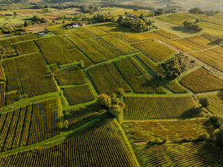 Aerial view, Bordeaux vineyard, landscape vineyard south west of france, Sainte-Croix-du-Mont, High quality photo