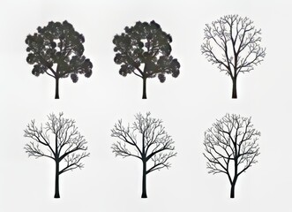 Artistic illustrations of trees in various seasonal states and silhouettes.