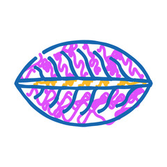 momo dumpling doodle icon sketch vector. momo dumpling sign. isolated symbol illustration