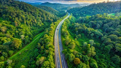 Fototapeta premium Highway, road and drone view of a path through the forest for vacation, adventure and transportation. Clean, green and jungle landscape for environment, sustainability and ecology background