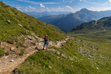 Fototapeta premium Woman on the way through beautiful mountain meadows with alpine autumnal flowers. the hiker on the footpath climbs the stony path up to the summit. beautiful alpine landscape with view over Austria