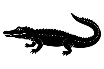 Alligator Black silhouette vector illustration on white background