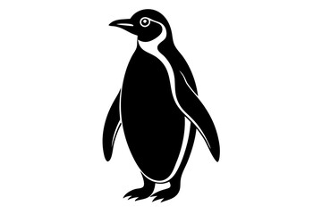 black and white penguin