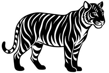 tiger  vector illustration