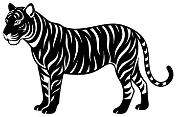 tiger  vector illustration