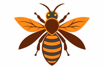 illustration of a bee