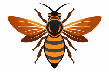bee isolated