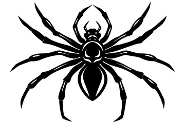 Spider silhouette vector on  white background 