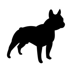 black silhouette of a dog