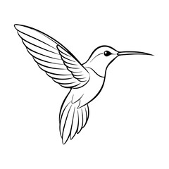 Fototapeta premium Hummingbird icon in black and white line art style, simple vector