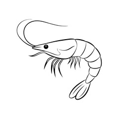 Black and white shrimp icon with simple lines