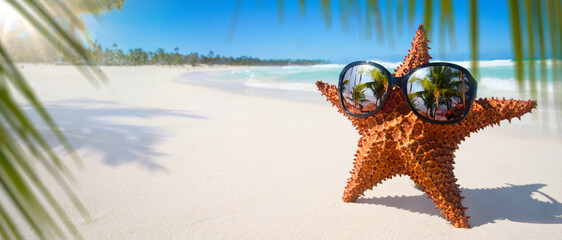 a beautiful sunny tropical lagoon and pristine sandy Palm Beach; Background for summer travel banner