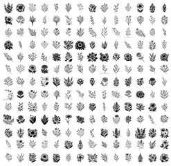 Fototapeta premium extensive collection of floral motifs with intricate details vector shape