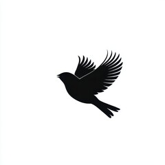 Obraz premium Silhouette of Sparrow in Flight on White Background