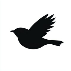 Fototapeta premium Silhouette of a Bird in Flight Against White Background