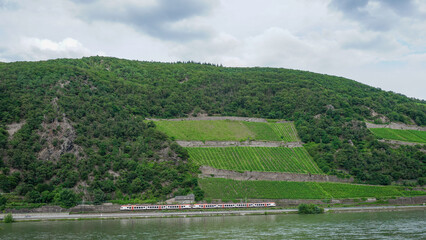 02_The vineyards of the Rhine Valley in Germany are a UNESCO World Heritage Site.