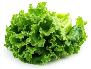 Fresh green lettuce isolated on white background
